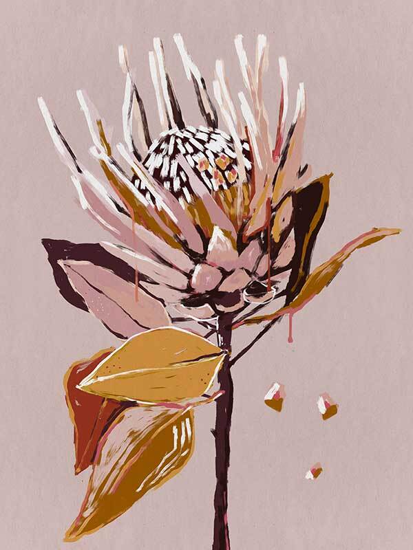 Blush Protea Canvas Art Print