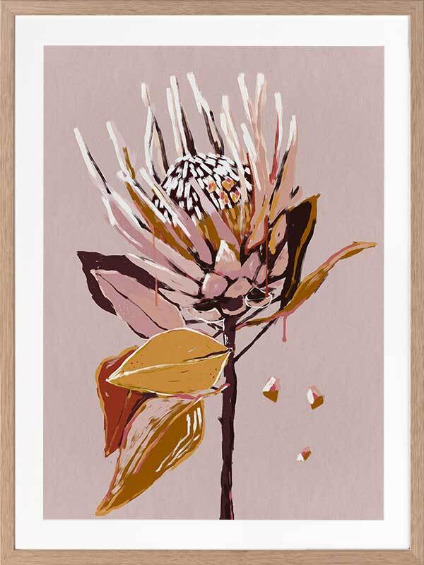 Blush Protea Framed Art Print