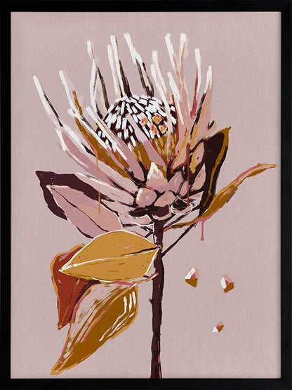 Blush Protea Framed Art Print