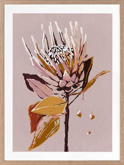 Blush Protea Framed Art Print