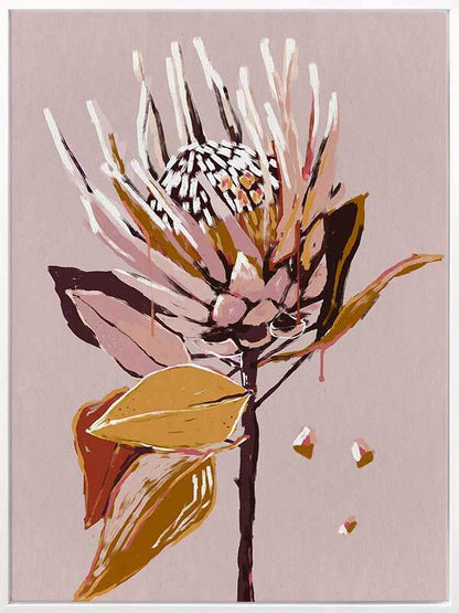 Blush Protea Canvas Art Print