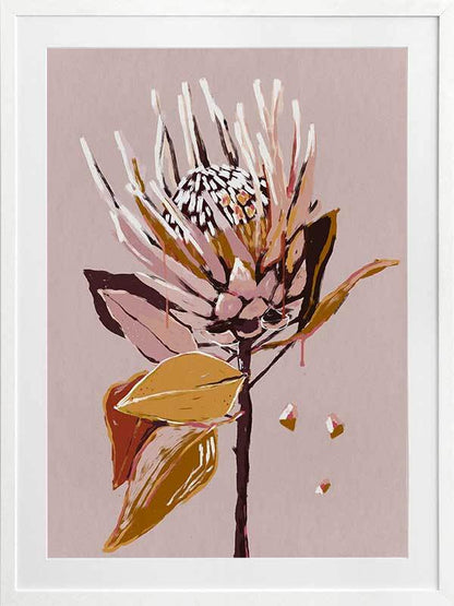 Blush Protea Framed Art Print