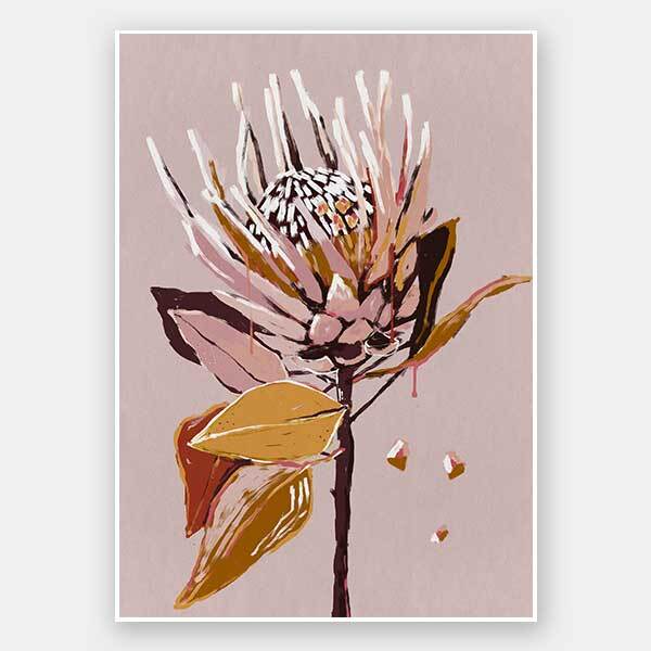 Blush Protea Unframed Art Print