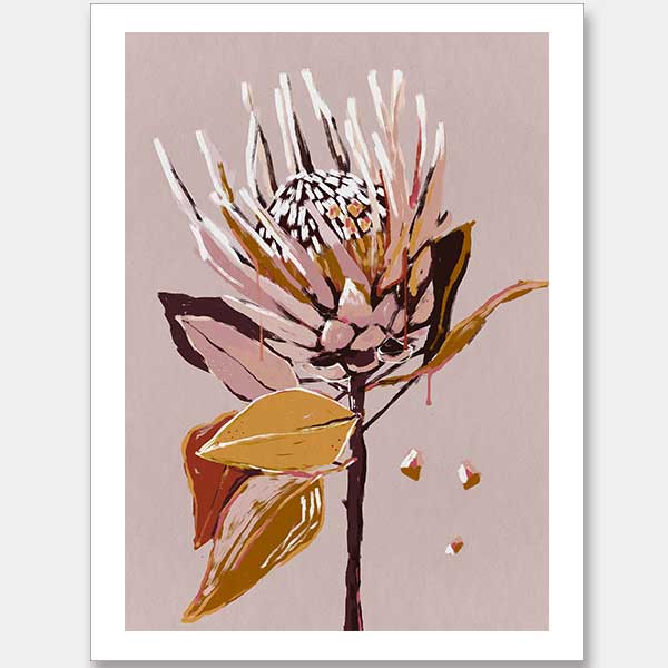Blush Protea Unframed Art Print