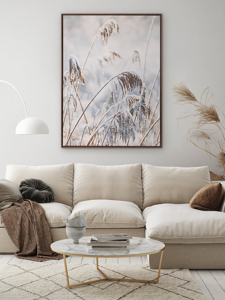 Pampas Frost Canvas Art Print | Lifestyle