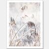 Pampas Frost Unframed Art Print
