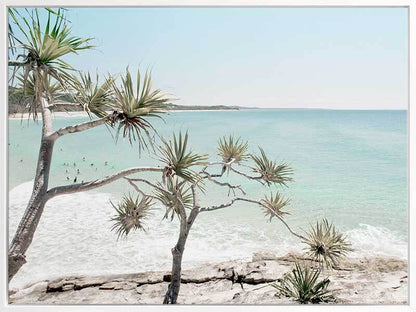 Pandanus in Paradise Canvas Art Print