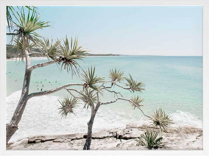 Pandanus in Paradise Framed Art Print