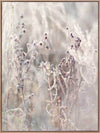 Thistle Frost Canvas Art Print