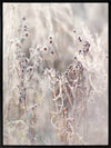 Thistle Frost Canvas Art Print