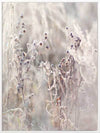 Thistle Frost Canvas Art Print