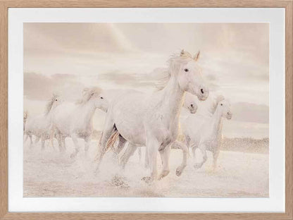 White Horse Stampede Framed Art Print