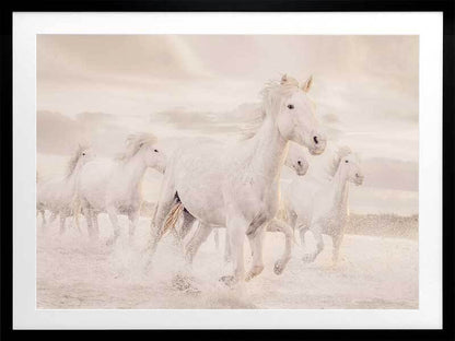 White Horse Stampede Framed Art Print