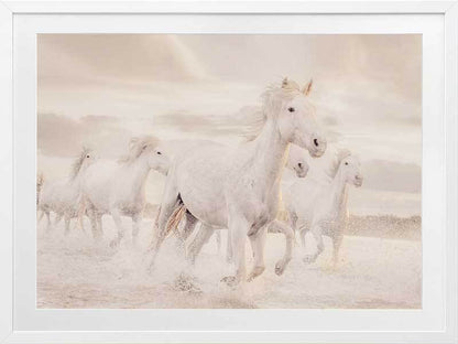 White Horse Stampede Framed Art Print