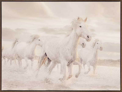 White Horse Stampede Canvas Art Print