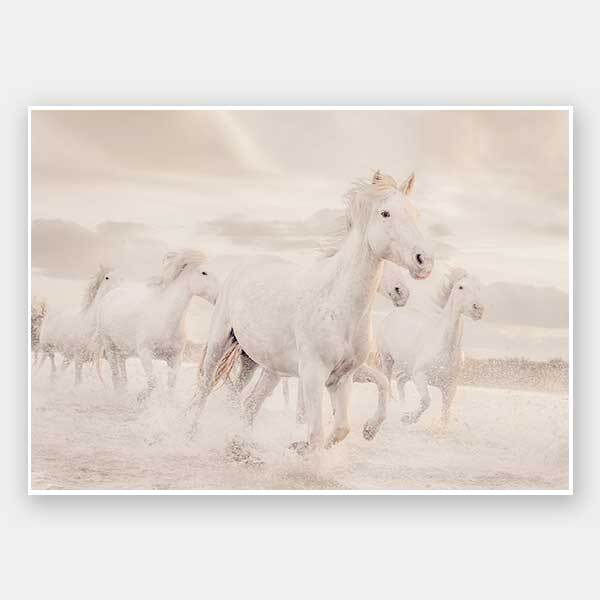 White Horse Stampede Unframed Art Print