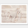 White Horse Stampede Unframed Art Print