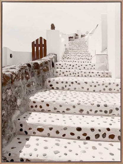 Stairs of Santorini Canvas Art Print