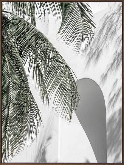 Palm Shadows Canvas Art Print