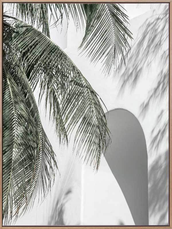 Palm Shadows Canvas Art Print