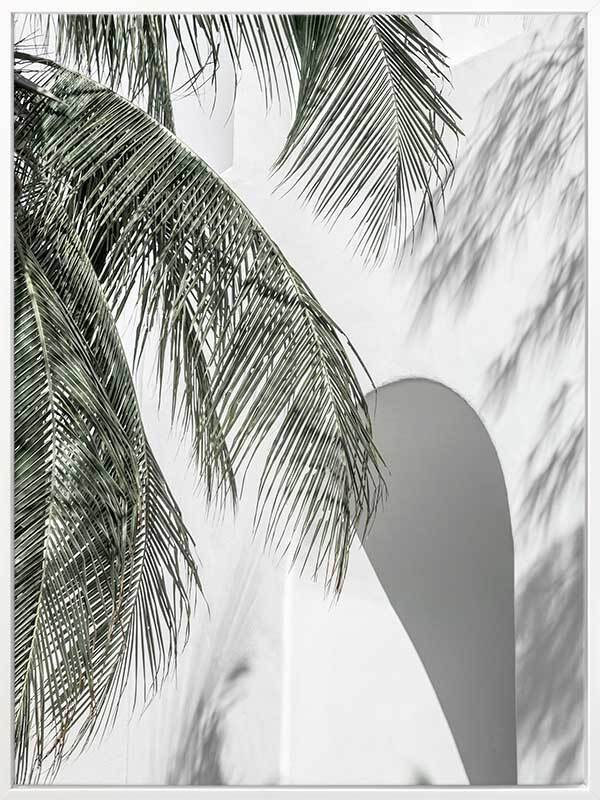 Palm Shadows Canvas Art Print