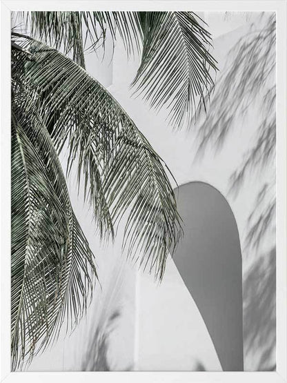 Palm Shadows Framed Art Print