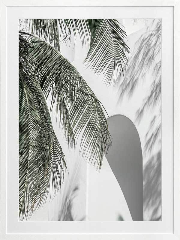 Palm Shadows Framed Art Print