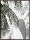 Palm Shadows Canvas Art Print