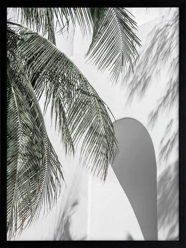 Palm Shadows Framed Art Print