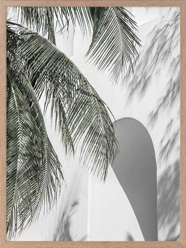 Palm Shadows Framed Art Print