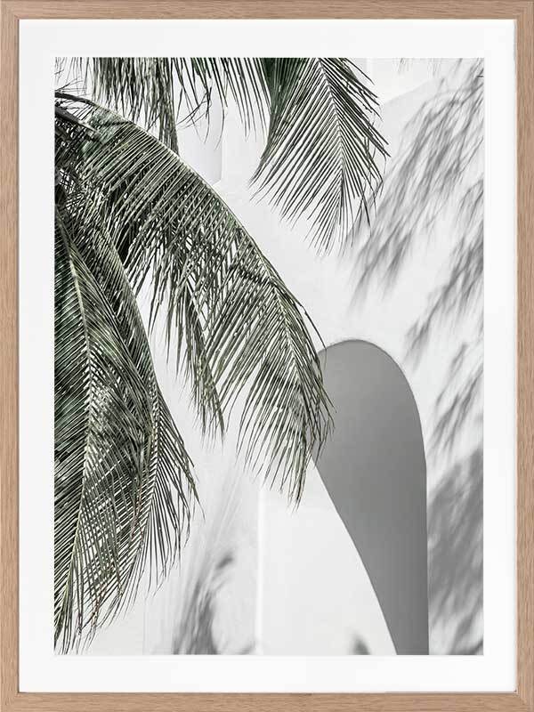 Palm Shadows Framed Art Print