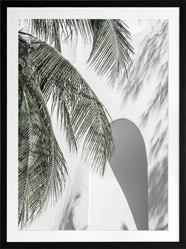 Palm Shadows Framed Art Print