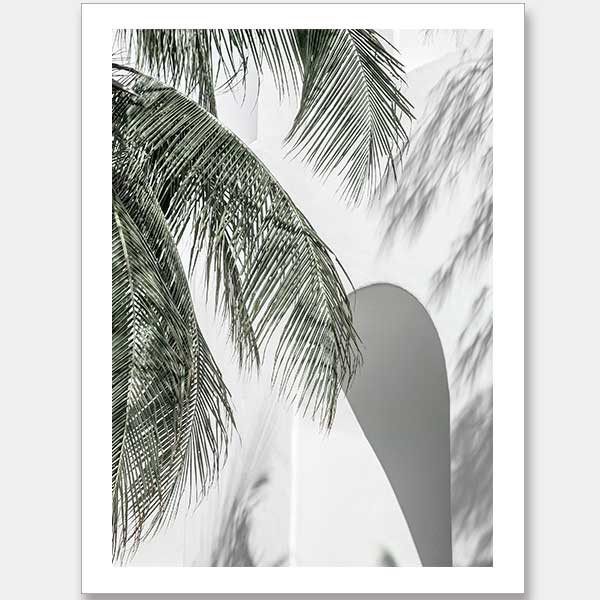 Palm Shadows Unframed Art Print