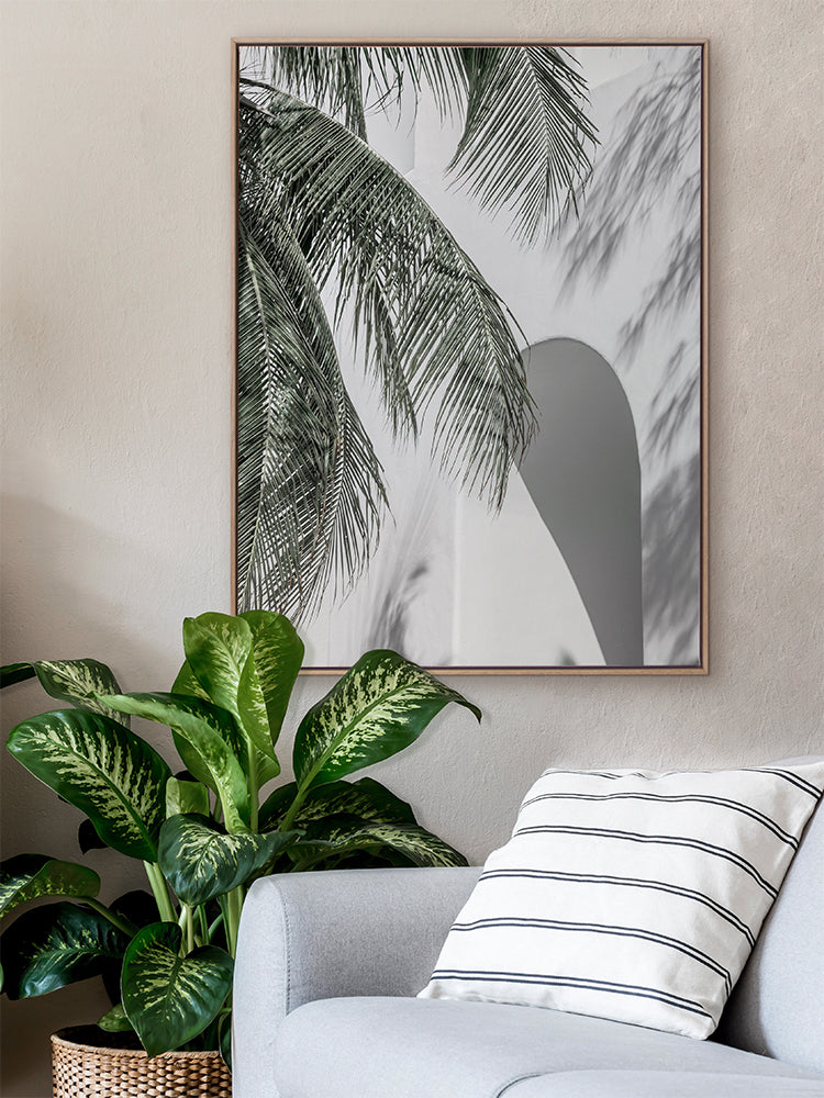 Palm Shadows Canvas Art Print | Lifestyle