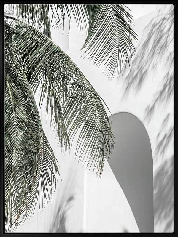 Palm Shadows Canvas Art Print