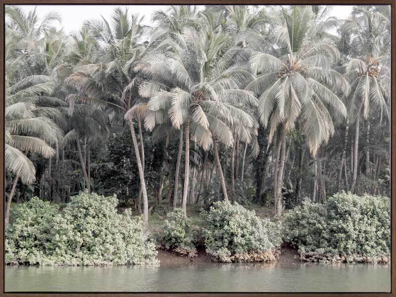 Shady Shoreline Canvas Art Print