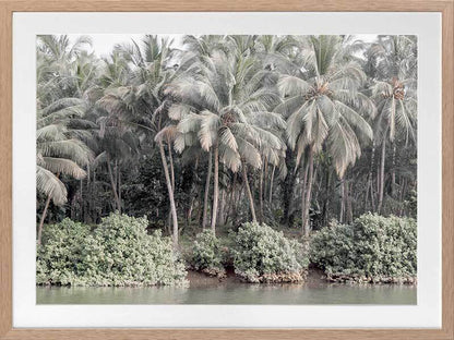 Shady Shoreline Framed Art Print