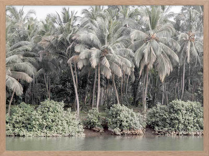 Shady Shoreline Framed Art Print