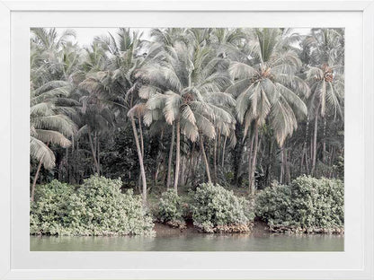 Shady Shoreline Framed Art Print