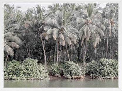 Shady Shoreline Framed Art Print