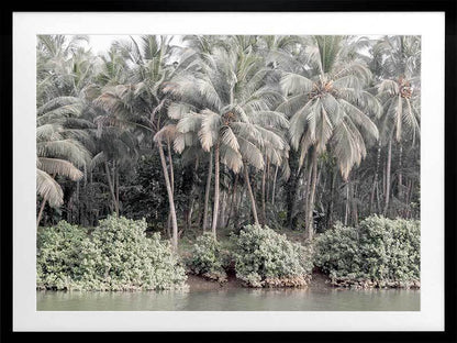 Shady Shoreline Framed Art Print