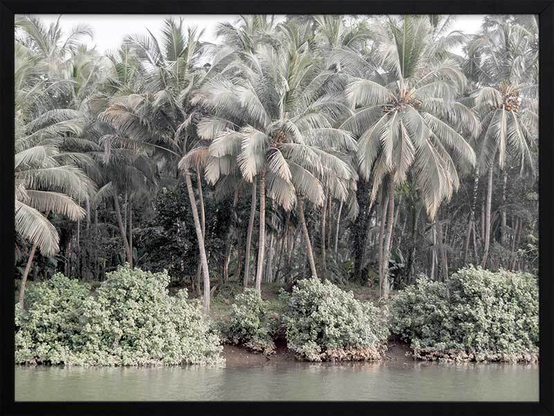 Shady Shoreline Framed Art Print