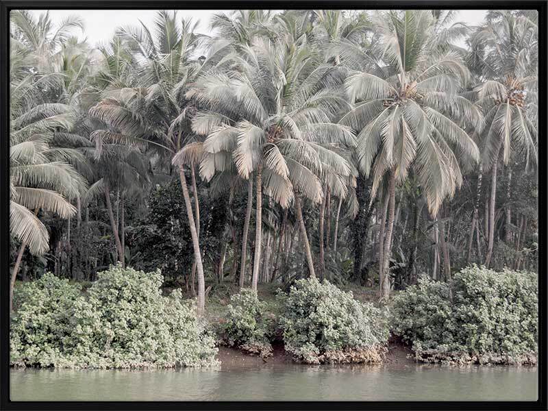 Shady Shoreline Canvas Art Print