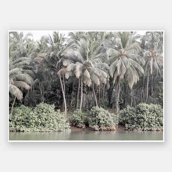 Shady Shoreline Unframed Art Print