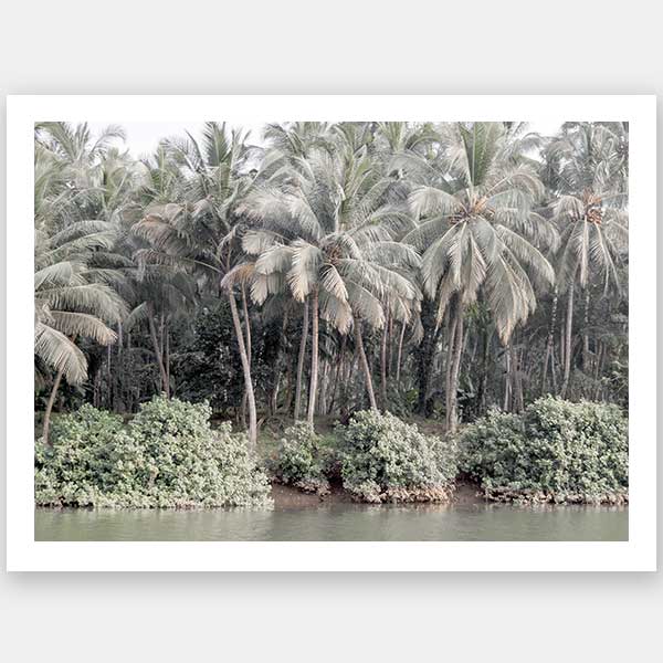 Shady Shoreline Unframed Art Print