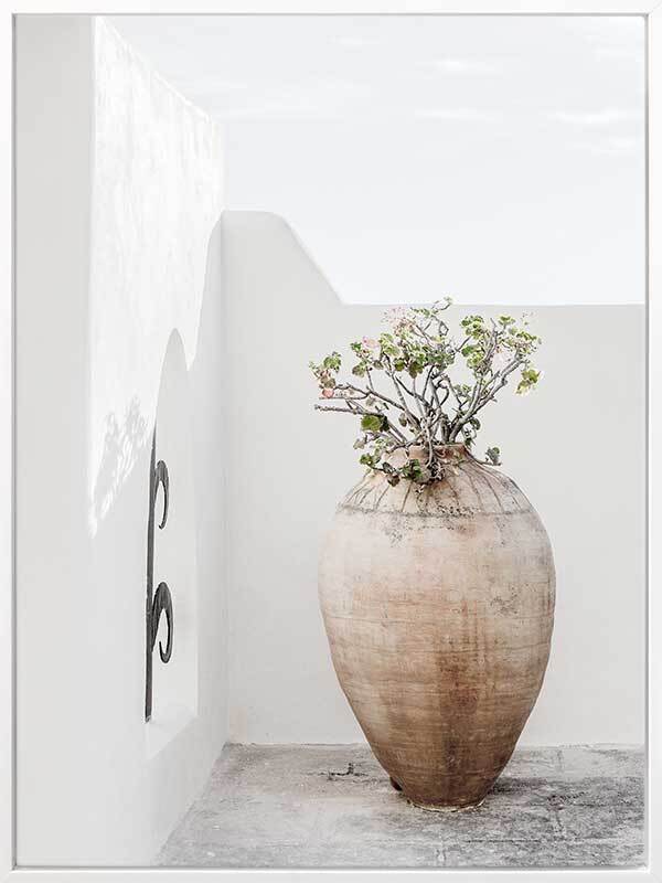 Terracotta Pot Canvas Art Print