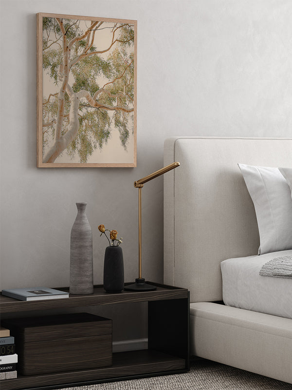 Golden Hour Gum Tree Framed Art Print | Lifestyle