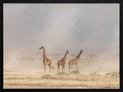 It's a Giraffe's world Framed Art Print