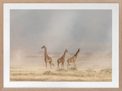 It's a Giraffe's world Framed Art Print