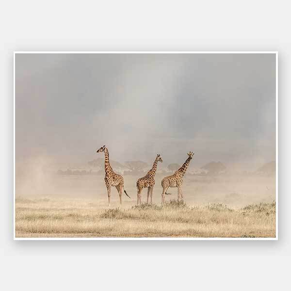 It's a Giraffe's world Unframed Art Print